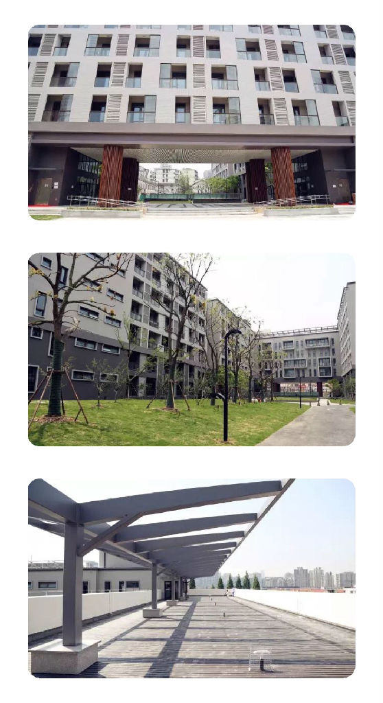 五号楼公寓.jpg